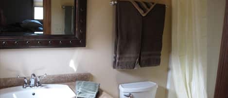 Un baño con lavamanos, espejo, toallero, inodoro y cortina de ducha.