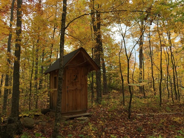 Una cabaña de madera en un bosque con hojas otoñales.