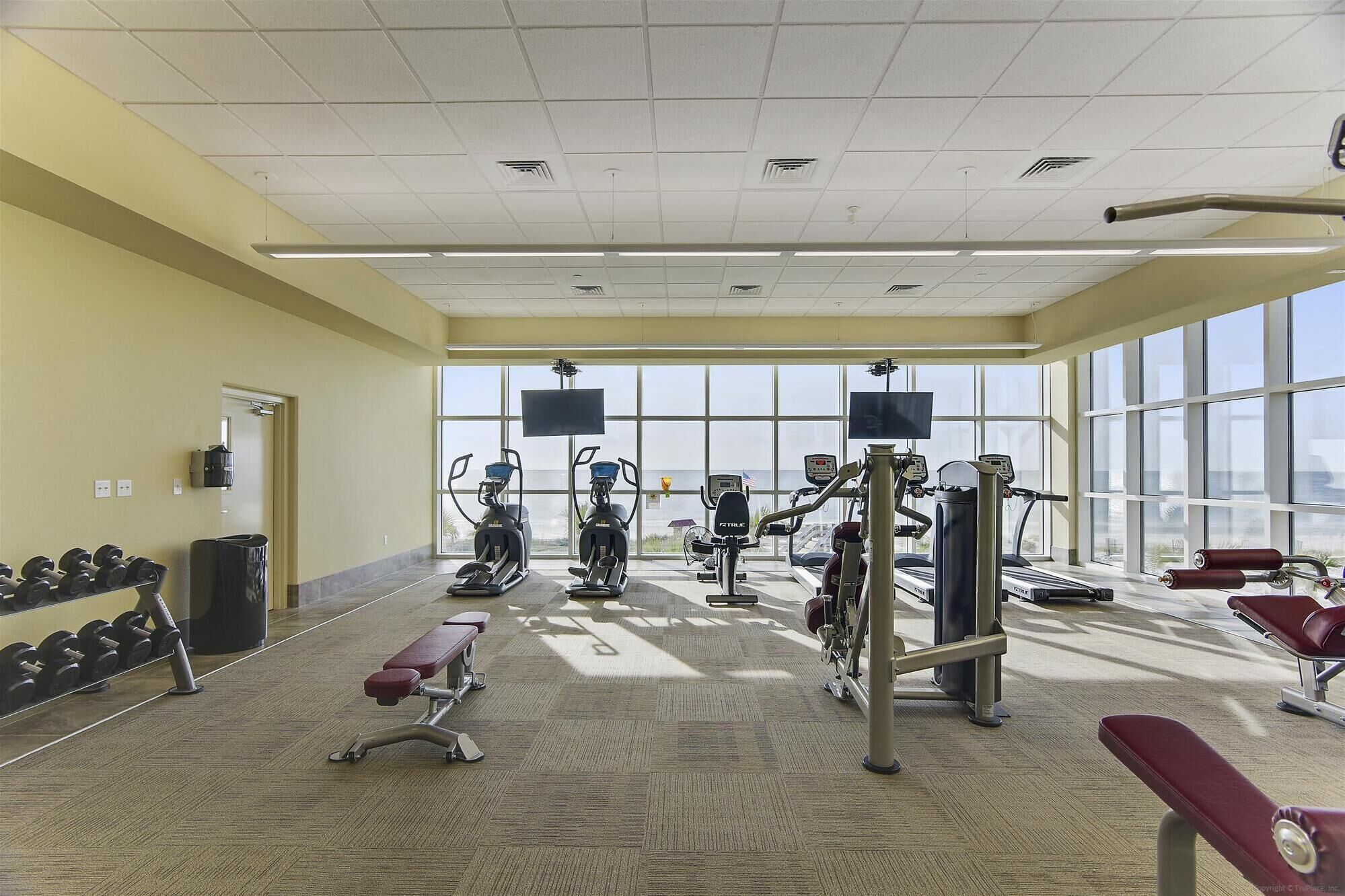 Un gimnasio con máquinas de cardio, pesas y bancos.