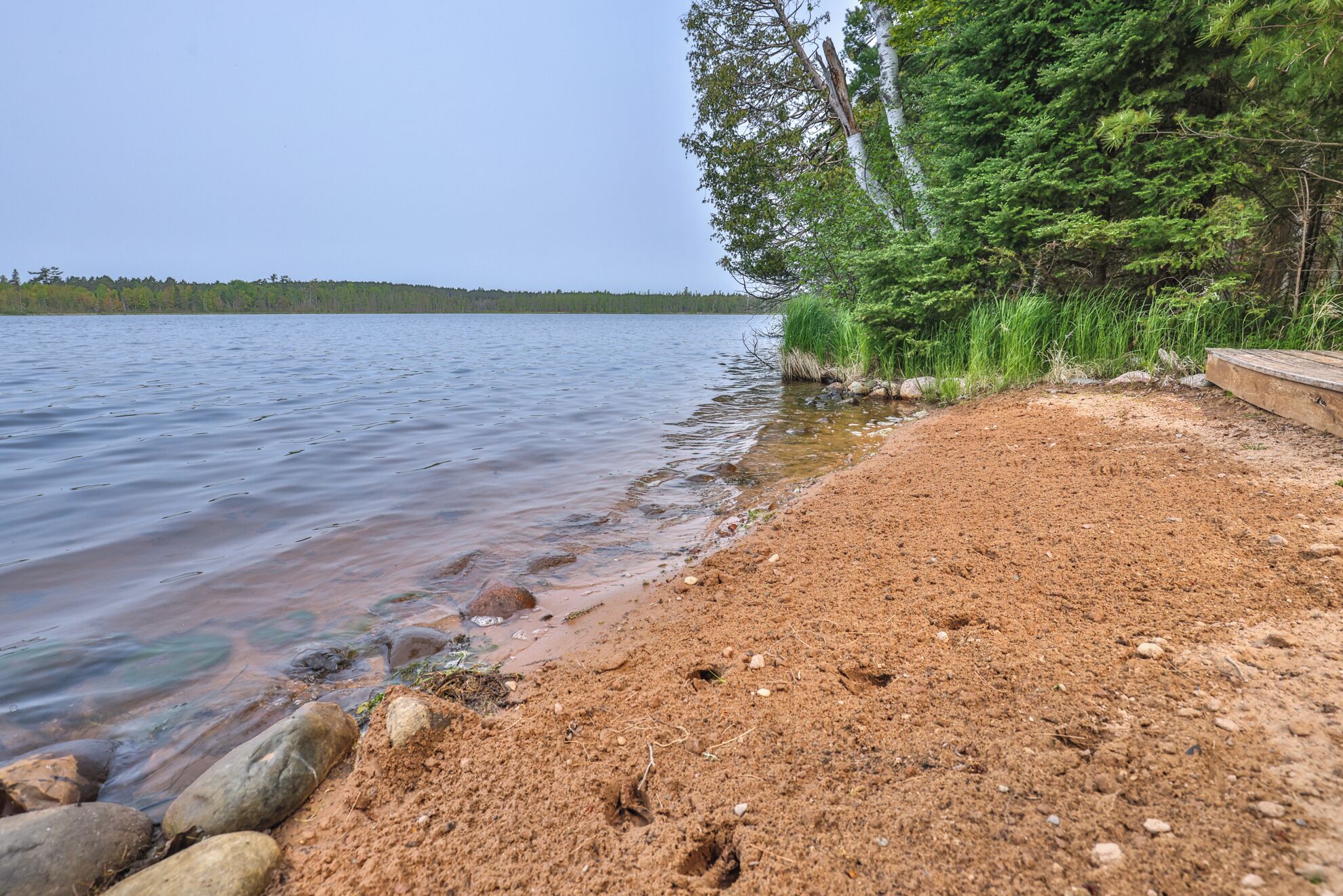 Une plage de sable fin aux eaux cristallines, bordée d’arbres et entourée d’une forêt lointaine.