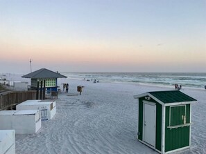 Sun loungers, beach towels