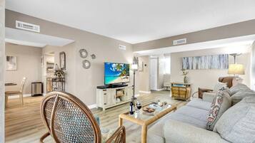 Smart TV, DVD player, video library