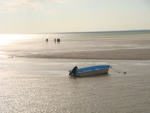 Plage à proximité