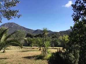 Property grounds - Holiday house with garden and swimming pool (Gonnesa)