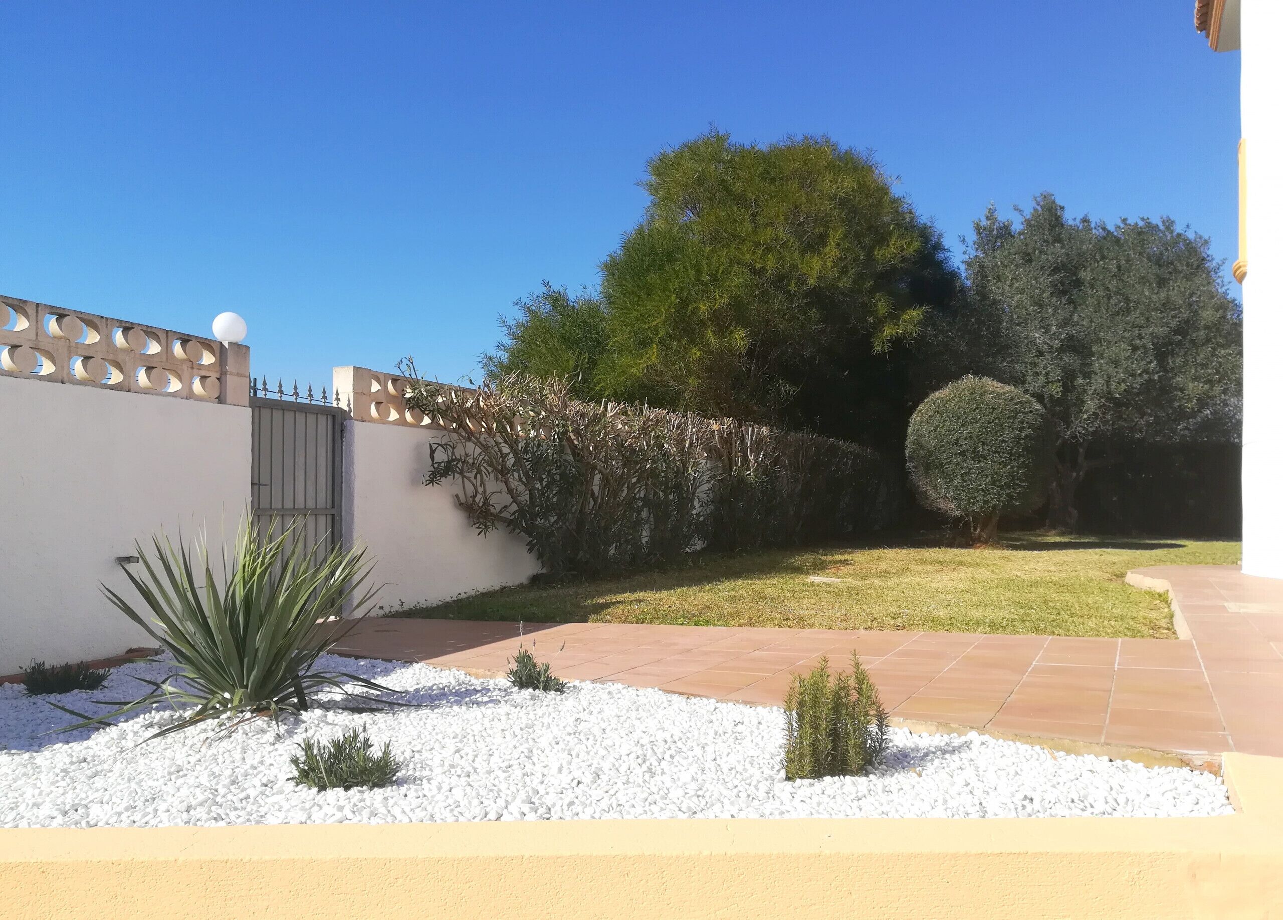 A landscaped garden with a white wall, a paved walkway, and various shrubs and trees.
