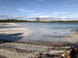 Plage, chaises longues