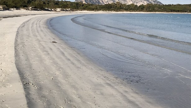 A beach with a curved shoreline, a mountain in the background, and sparse vegetation.