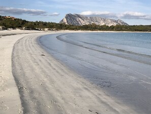 Ein Strand mit einer gewundenen Küstenlinie, ein Berg im Hintergrund und spärliche Vegetation.