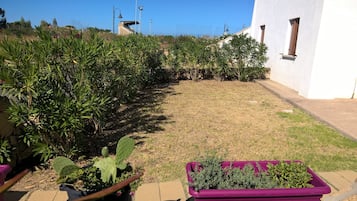 Área da propriedade