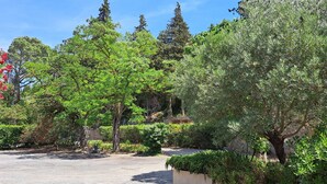Un sentier pavé, bordé d’une végétation luxuriante et d’arbres.