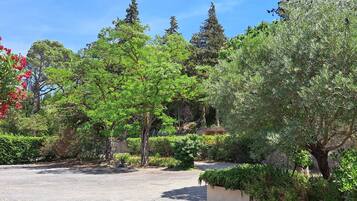 Terrein van de accommodatie