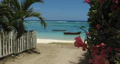 Beautiful house a few steps from the sea with terrace and tropical garden