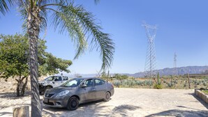A car parked in a stone-paved area with palm trees and cacti in the background. - Collection O Posada Terraza (Tequila)