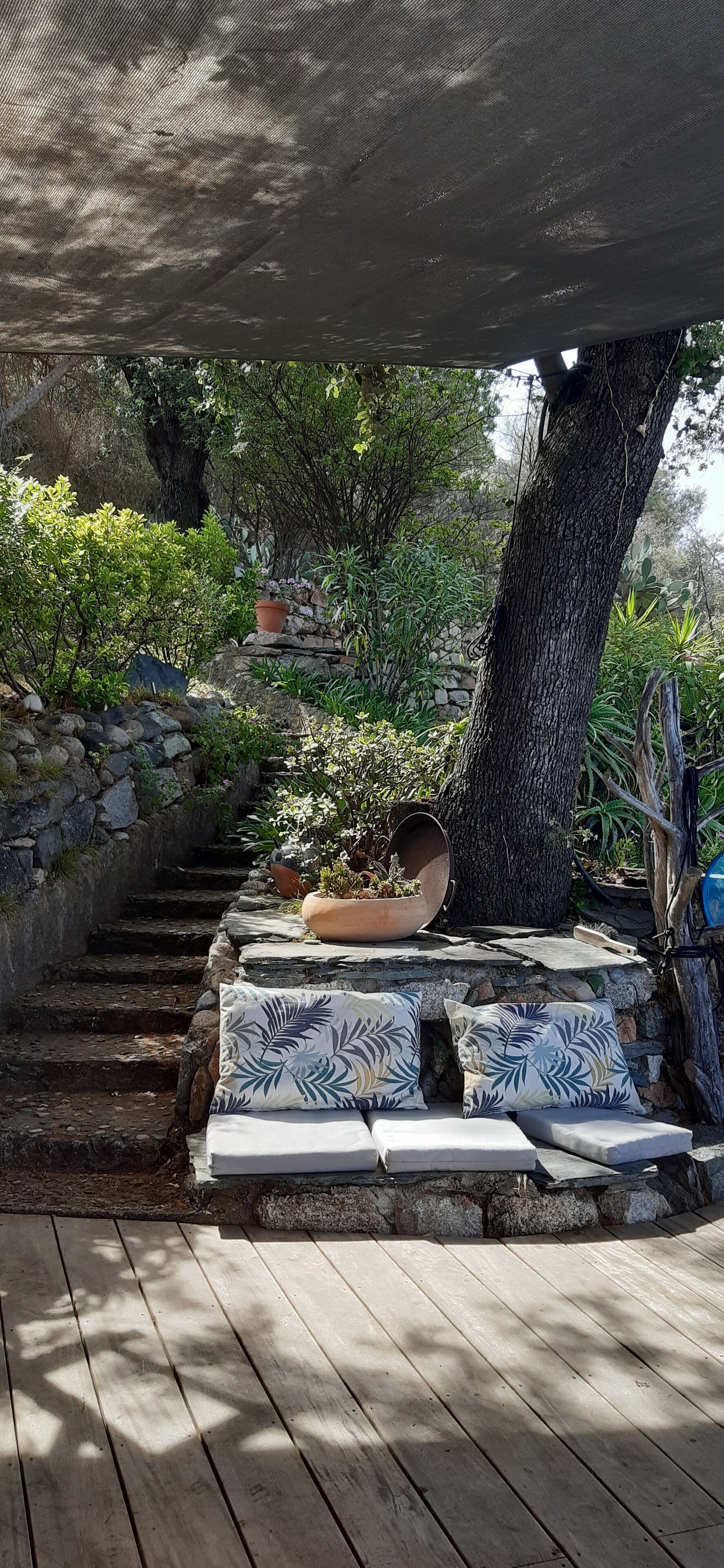 Um deck de madeira com um banco sob uma árvore, cercado por vegetação e uma parede de pedra.