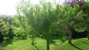 A grassy area with trees and a hammock.