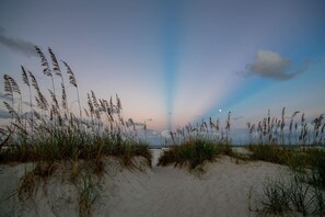 A beach with sand dunes and tall grasses. - SeeRay Shores 301 (St. Augustine Beach)