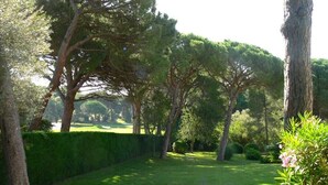 A pathway through a well-maintained garden with trees and a hedge. - Renovated apartment in Valescure, with pool and golf view, near the sea  (Saint-Raphaël)