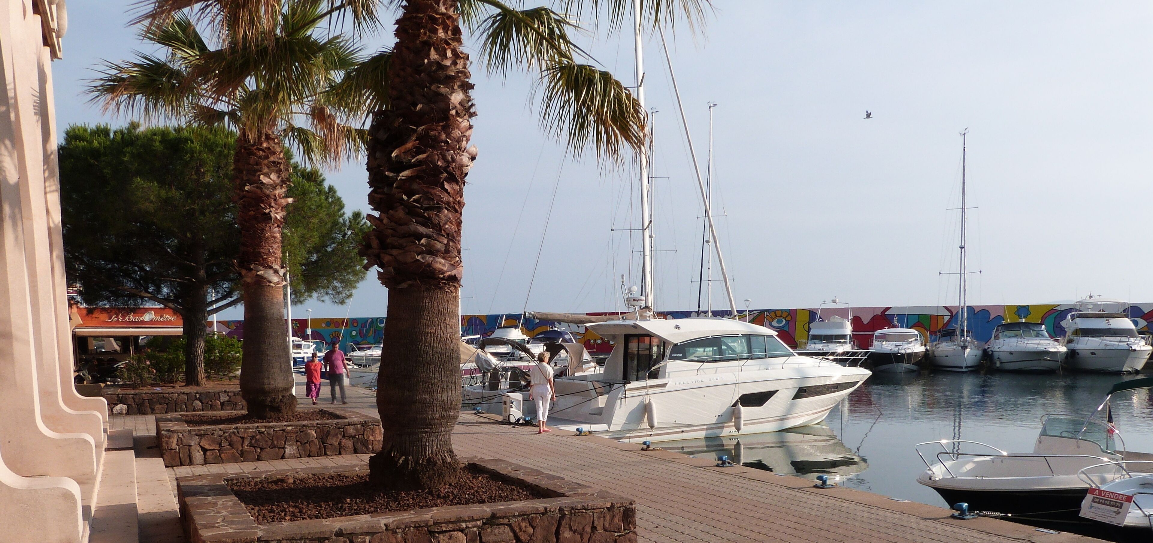 A marina with boats docked, palm trees, and a building with a sign.