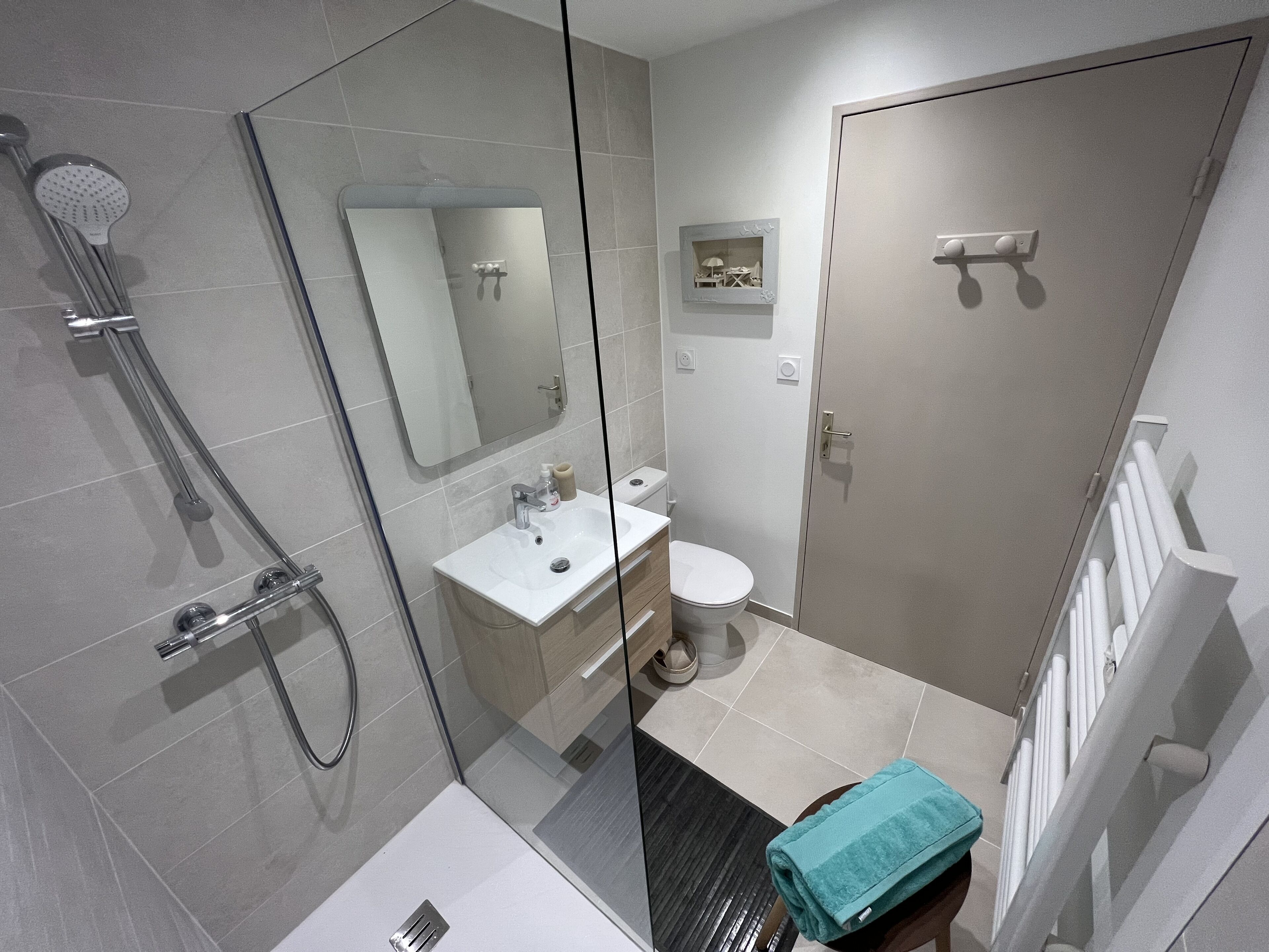 A modern bathroom with a glass shower enclosure, a white sink, and a toilet.