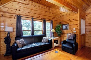 Smart TV, fireplace, DVD player