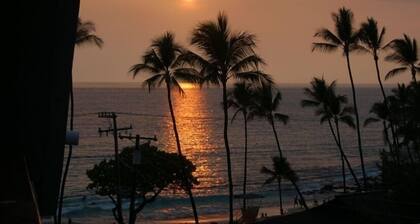 Ocean View Condo! Across from White Sands Beach! Remodeled bathroom showers!