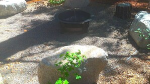 A natural outdoor area with a fire pit surrounded by rocks and trees.