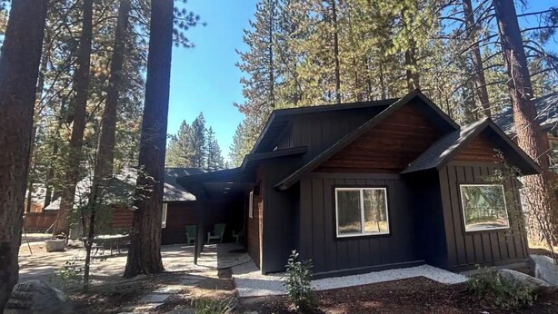 A cabin with a dark exterior, surrounded by tall pine trees, featuring a large window and a small porch area.