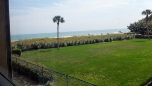 A view of a beach from a window, with a grassy area and palm trees in the foreground. - Lovely Ocean Views! (Cocoa Beach)