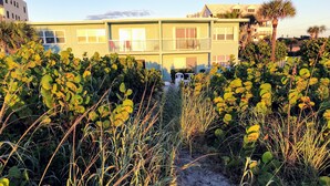 A pathway leading to a two-story building with a balcony. - Lovely Ocean Views! (Cocoa Beach)