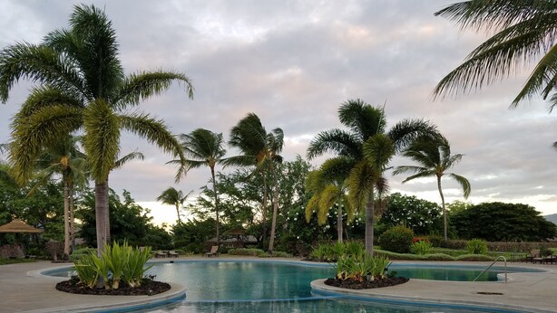 A pool area with palm trees, a lounge chair, and a small building in the background.