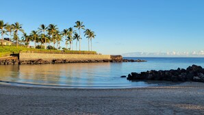 A coastal scene with a stone wall, palm trees, and a sailboat on the water.