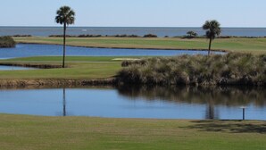 A golf course with a water body, green grass, and palm trees.