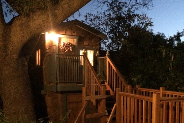 Treehouse and Deck