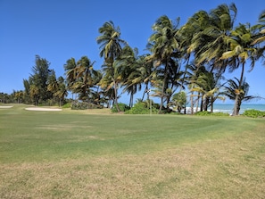 Golf - Luxury Beachfront Villa on Rio Mar Beach in Resort (Rio Mar)