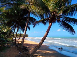 En la playa, camastros y toallas de playa 