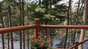 A wooden deck with two large potted plants and a metal railing overlooking a body of water.