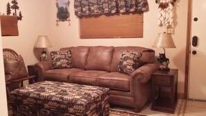 Téléviseur, foyer, livres