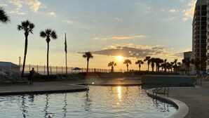 A pool area with palm trees and a sunset in the background.
