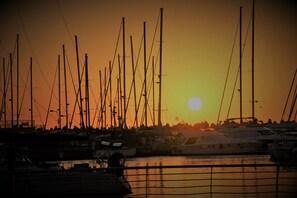 Marina