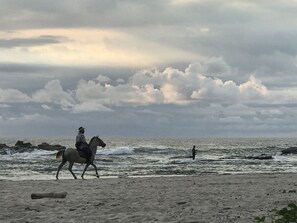 Camastros y toallas de playa 