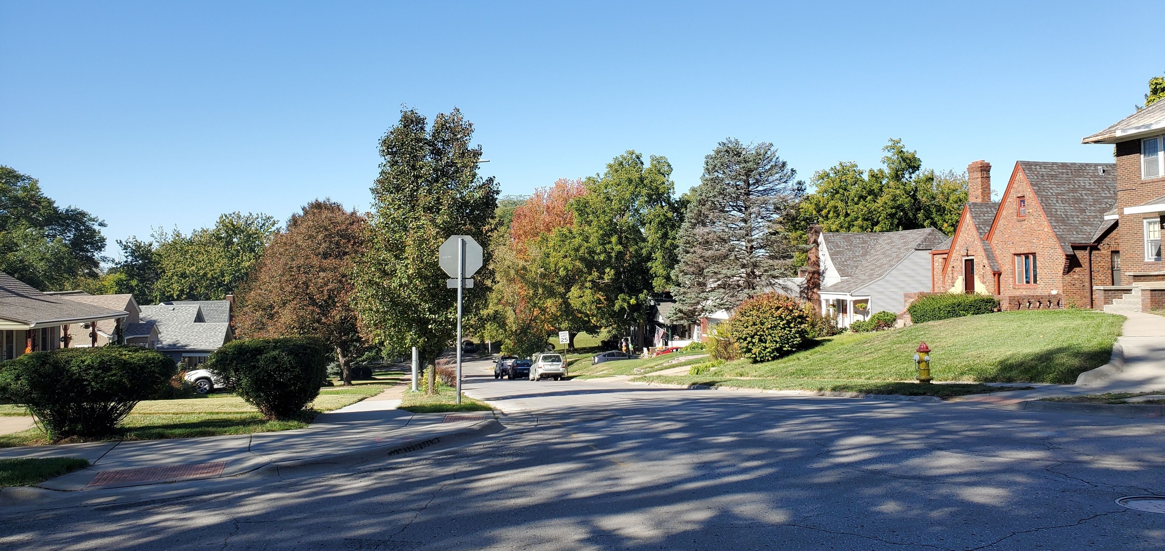 A suburban street with houses, a stop sign, and a fire hydrant.