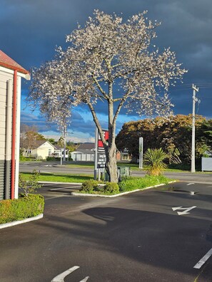 Un parking avec un arbre au centre, entouré de verdure et avec un bâtiment sur la gauche.