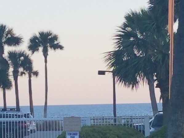 A coastal scene with palm trees, a fence, and a sign that reads "TOW AWAY".