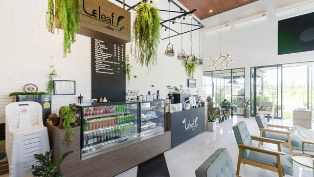 Interior de café com balcão de madeira, plantas penduradas e área de estar.