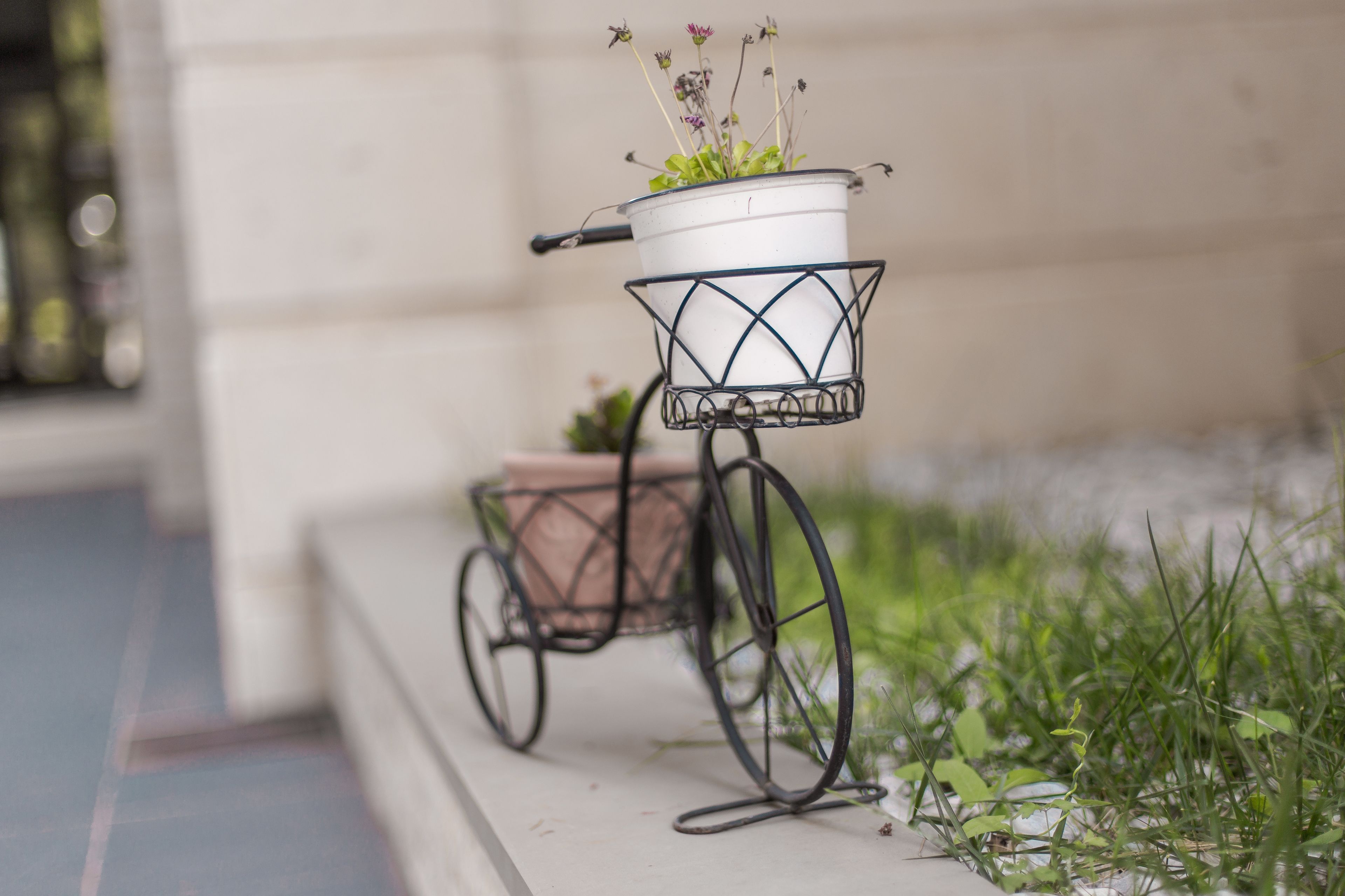 Una bicicleta estática con una cesta que contiene una planta en maceta.