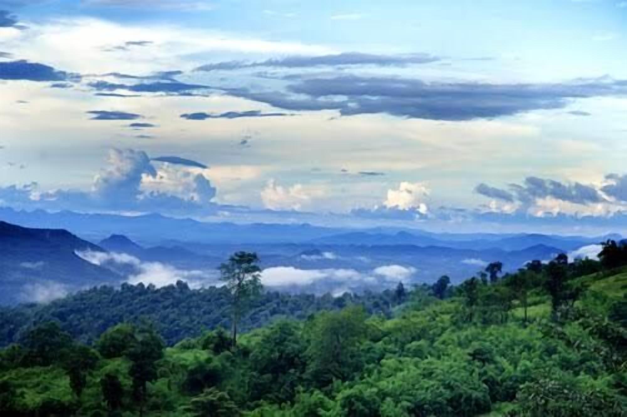 A mountainous landscape with dense green forests and a clear sky.