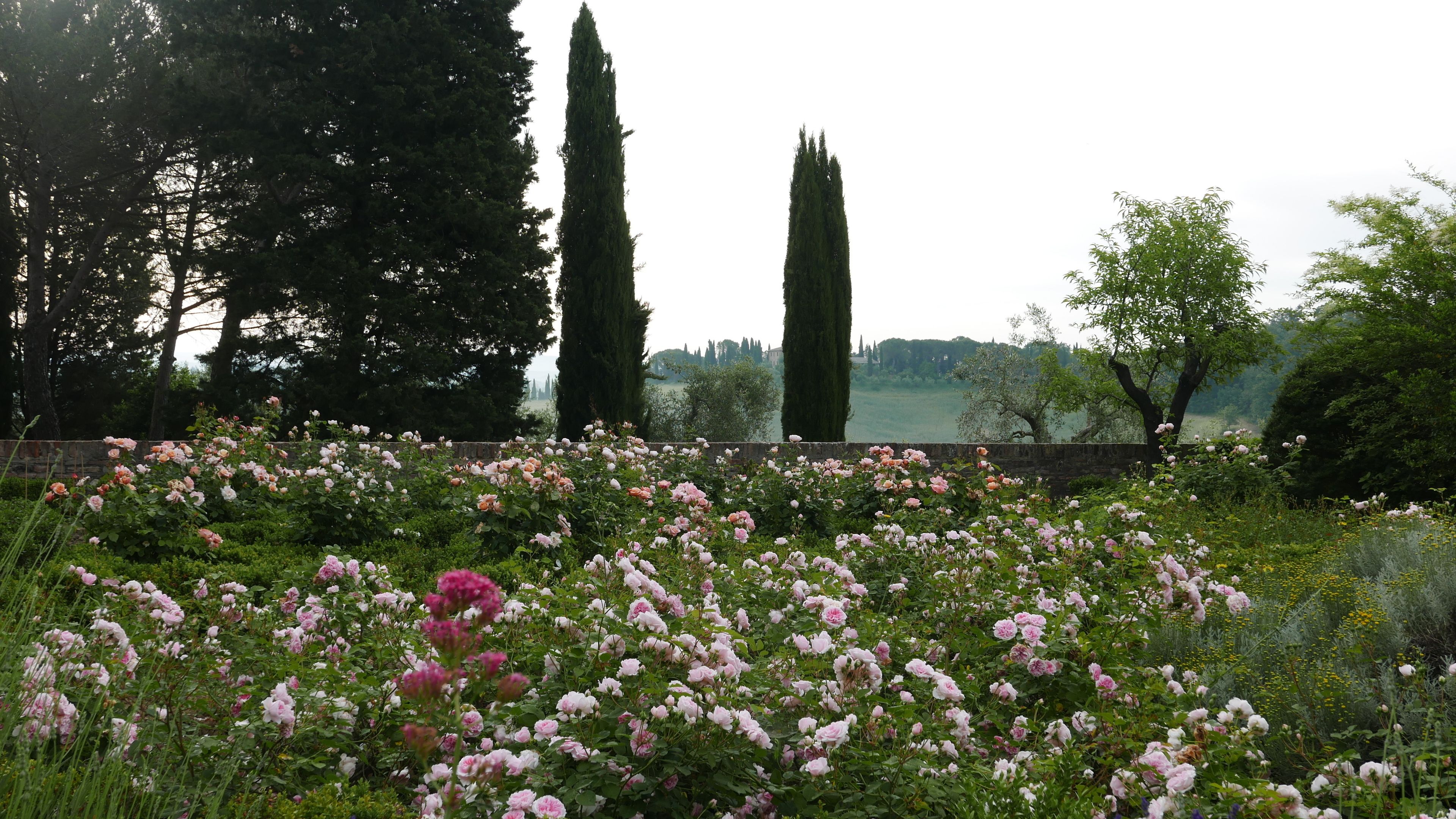 Foto - Ca' Bianca Tuscany Relais