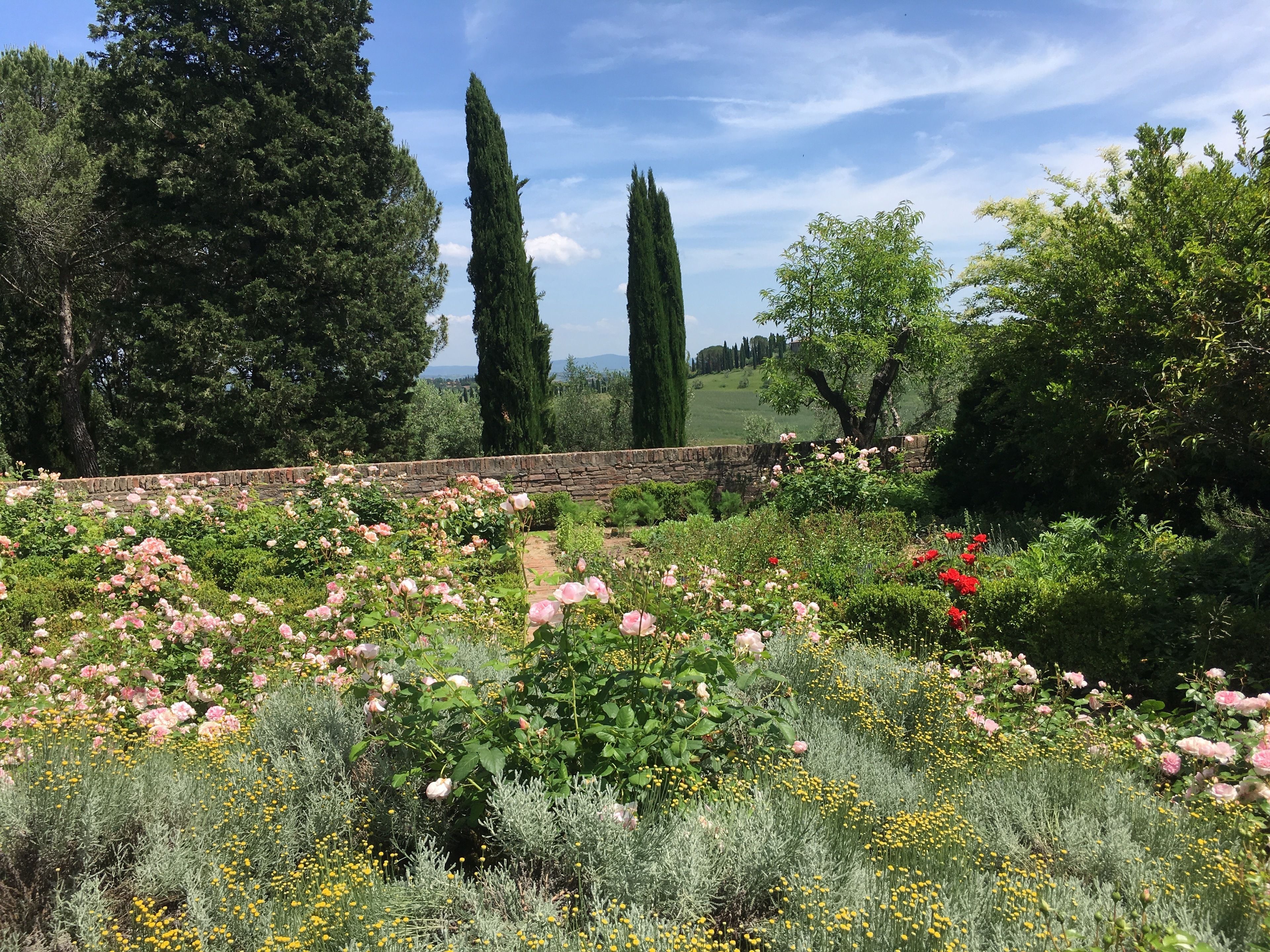 A garden with a stone wall, various plants, and trees.