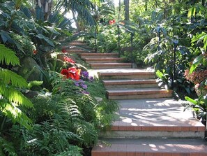 Escadas de pedra externas rodeadas por vegetação exuberante e plantas tropicais.