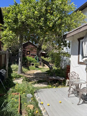 Um jardim com uma árvore frutífera, um deck de madeira e um edifício branco com uma janela.